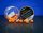 Bait Bait Tüzes Barack 11 mm Fluo Wafters mini bojli+Betain