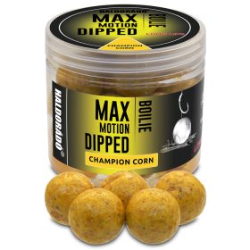 HALDORÁDÓ MAX MOTION Boilie Dipped 20 mm - Champion Corn